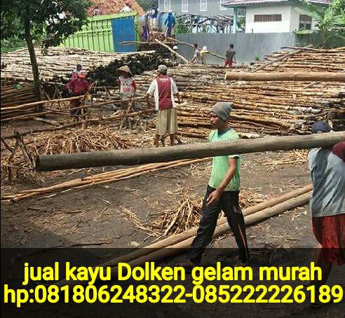 Jual Kayu Dolken